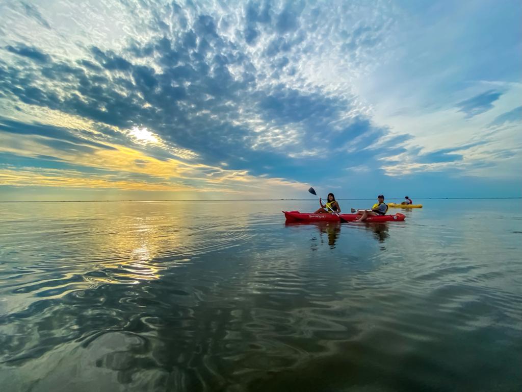 Navegación en la Laguna Iberá