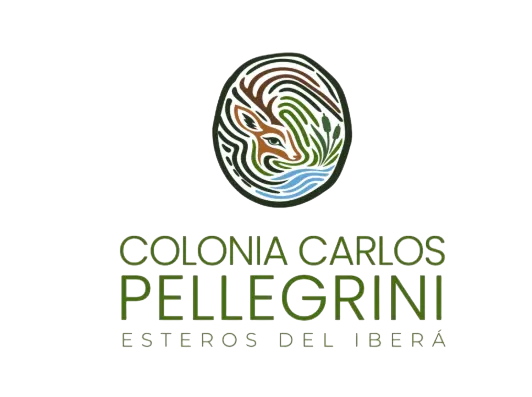 ColoniaCarlosPellegrini